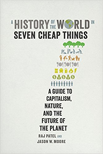 A History of the World in Seven Cheap Things: A Guide to Capitalism, Nature, and the Future of the Planet Hardcover by Raj Patel