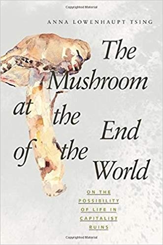 The Mushroom at the End of the World: On the Possibility of Life in Capitalist Ruins, by Anna L. Tsing